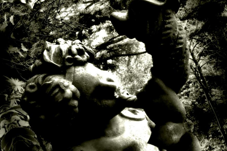 Il richiamo per i cuori smarriti 