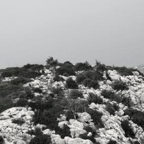 MORE THAN EVER Buffavento 37