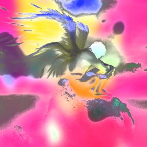 . . . Capire dove sta !!! . . .