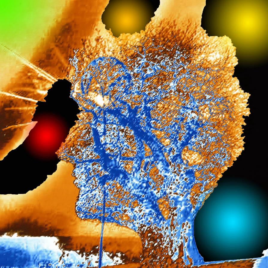 Il Tesoro Che Stai Cercando è In Te ..!!!!