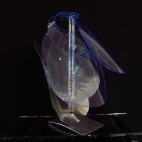 "La luce della gioia, la gioia della luce" 