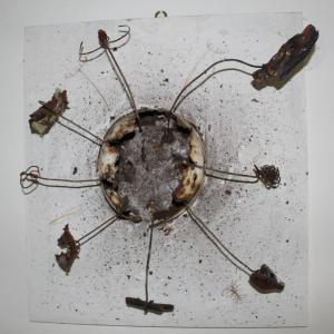 La nascita dei lupi La nascita dei lupi