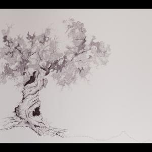 a U L I V O o f R 7 ®