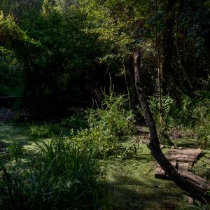 Landscape #4 Landscape #4