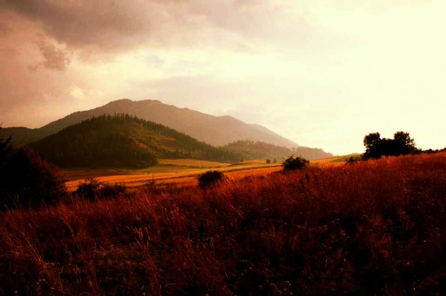 Masterpieces of nature