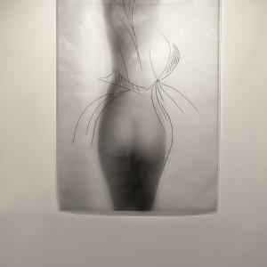 Plastic Bag Plastic Bag