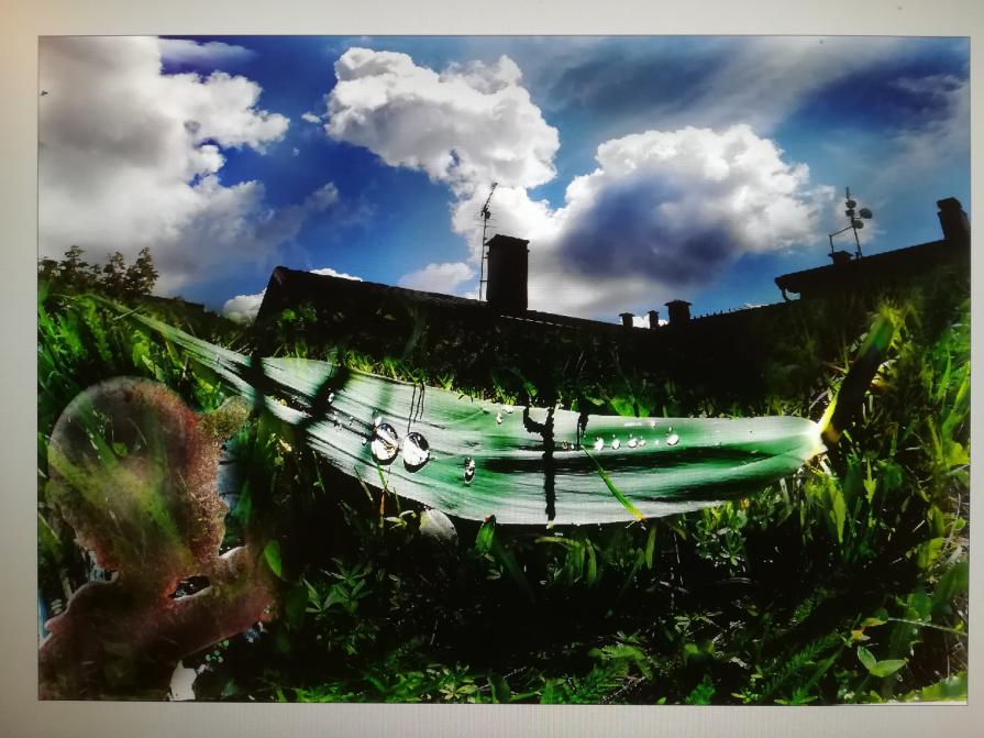 Alpe cimbra Luserna tra poco sbarcano profughi anche li. 