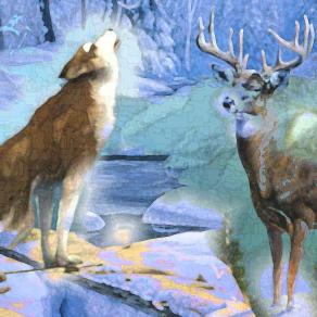 Zanna Bianca, così chiamato per il colore dei suoi denti...!!!