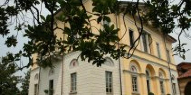 Artists together in Villa Borghi in Biandronno 