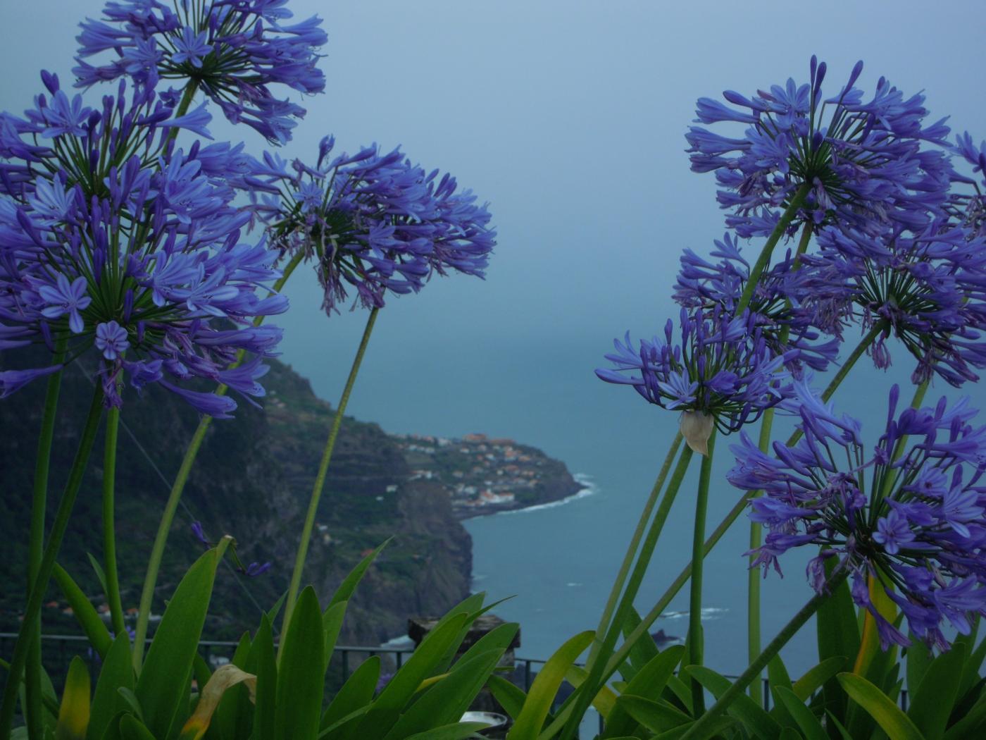 Maristella Angeli third photo contest "The Estate is within you" 