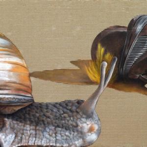 Italy-China Biennial