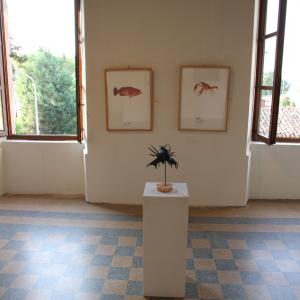 ANIMALS ART A PALAZZO DUCALE