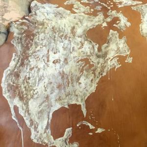 "A Pelle Viva" "A Pelle Viva"