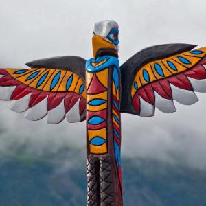 USA. Alaska 1/3. Forme di vita