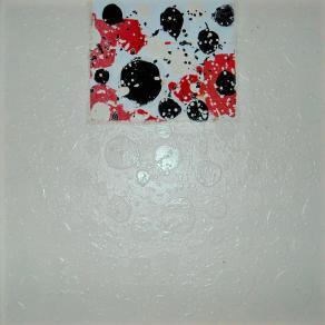 visioni aeree giardini di loto