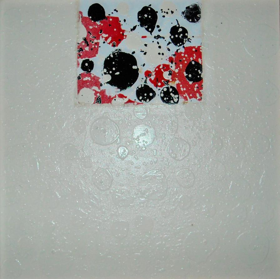 visioni aeree giardini di loto