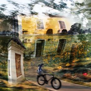 sei a passeggio stamattina maurino. ?????