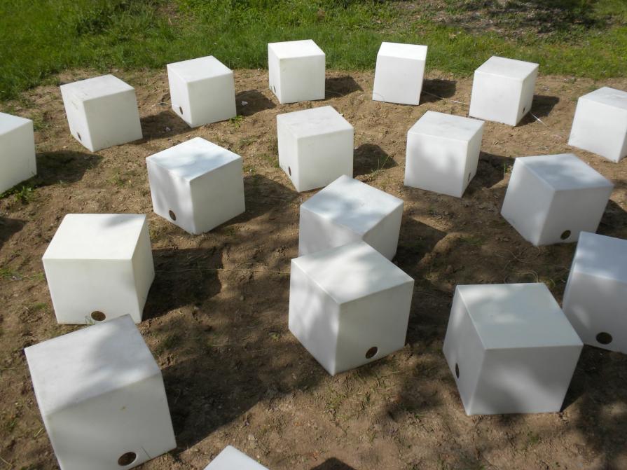 Dalla raccolta alla semina 2 - 2010_foto5