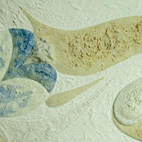 Guardo l'istante fiorito e azzurro 2 ( opera alla luce )