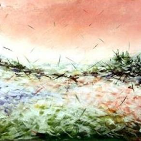 "ESPLOSIONE DI COLORI"