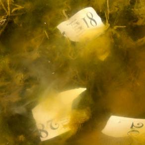 "non c'è vita che almeno per un attimo non sia stata immortale."