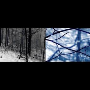 12 Moons XI: Trapper's Moon