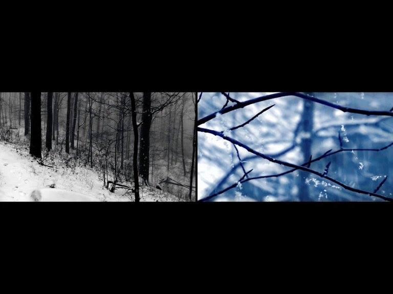 12 Moons XI: Trapper's Moon