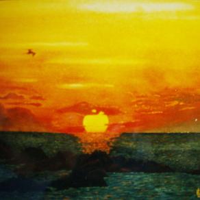 LG 0094 - Ritorno al nido