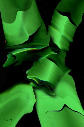 eppure il verde ha un respiro!!!!!!