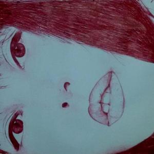 N° 67  biro rossa (da una foto di Gabriele Rigon)