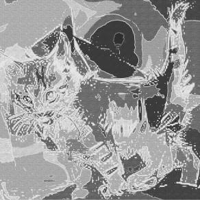 Credo che i gatti siano spiriti venuti sulla terra Un gatto, ne sono convinta può camminare su una nuvola.