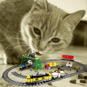 . . . Insegue la Sua Preda Nella Notte !!! . . . 