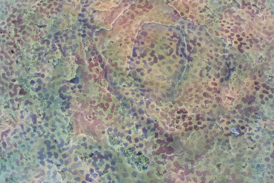 What You Don't Expect