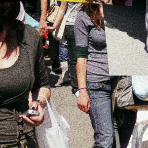 cascine 03 P02 cascine 03 P02