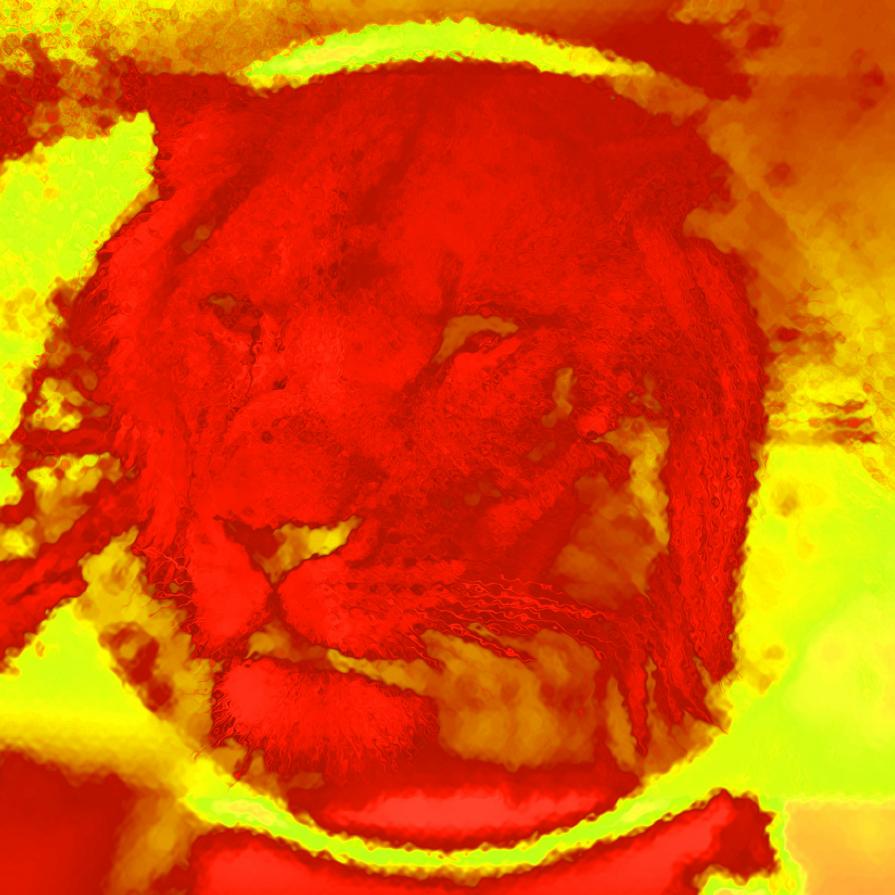 . . . Fa Le Fusa Quando Lo Accarezzi !!!! 