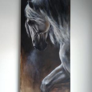 Tra luce e ombra Tra luce e ombra