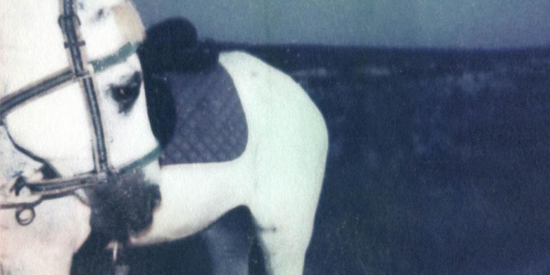 Annalisa Gonnella - Un'Orchestra a teatro Annalisa Gonnella - Un'Orchestra a teatro