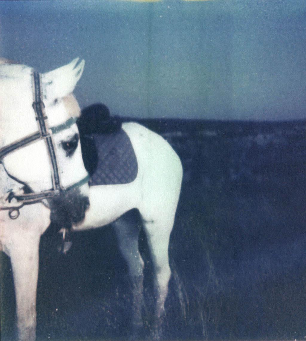 Annalisa Gonnella - Un'Orchestra a teatro