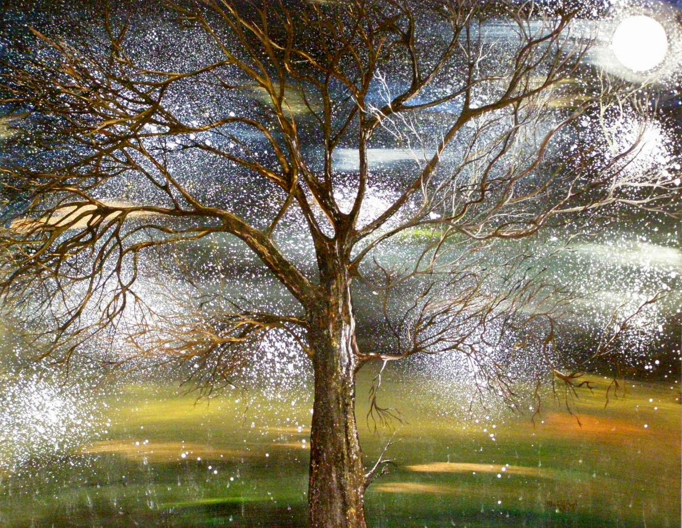 "Gli alberi magici" Video