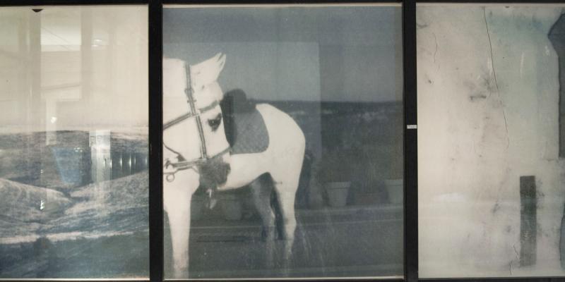 FESTIVAL DELLE ARTI II EDIZIONE “Un mix di emozioni” Annalisa Gonnella Solo exhibition FESTIVAL DELLE ARTI II EDIZIONE “Un mix di emozioni” Annalisa Gonnella Solo exhibition