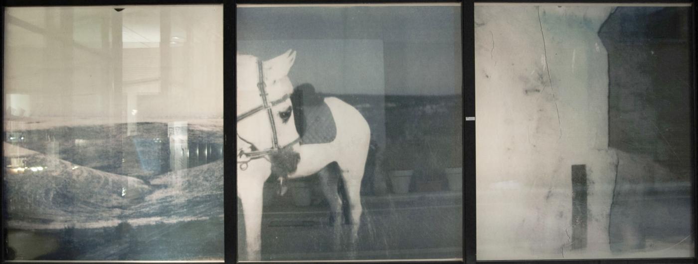 FESTIVAL DELLE ARTI II EDIZIONE  “Un mix di emozioni”  Annalisa Gonnella Solo exhibition