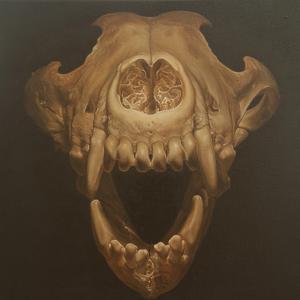 ARTisNOW: rassegna di arti visive ARTisNOW: rassegna di arti visive