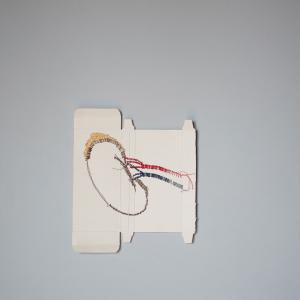 Inside/Rinascite di Erjon Nazeraj Inside/Rinascite di Erjon Nazeraj