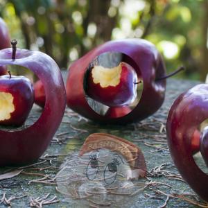 Intervista a Martina Buzio