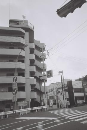 Electrical wires=feti