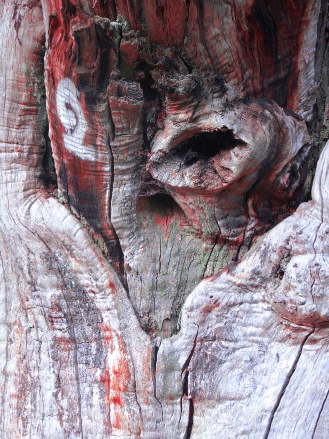 Animalbero 2 Animalbero 2