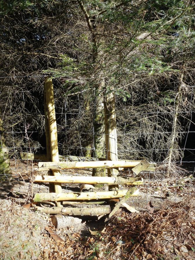 Quatre marches et...après ?