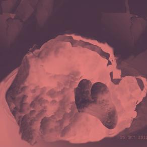 Revolution  celibrty day 25 jan 2013 (2)