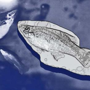 Man and woman at the river