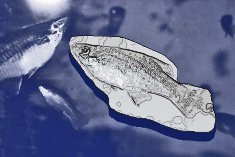 Man and woman at the river